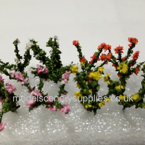 Roses N Gauge (OO)