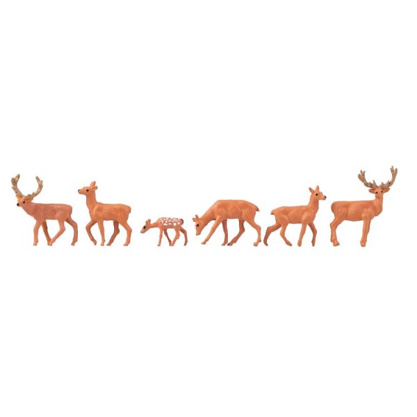 Red Deer OO