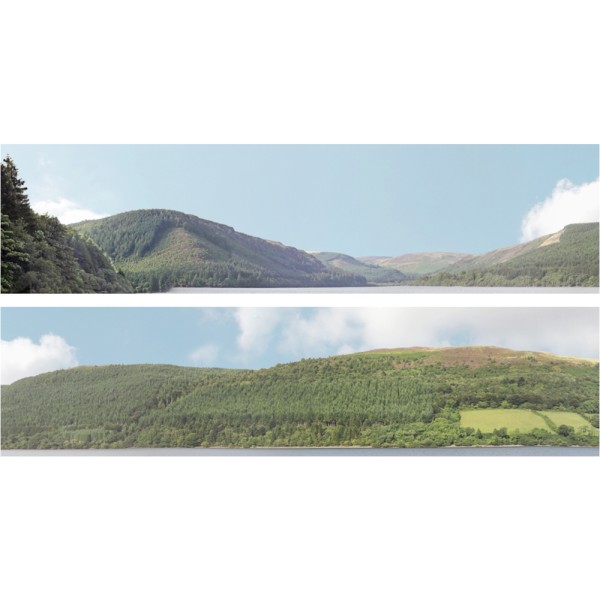 Backscene Forest Hills 201A OO 15Inch