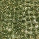 Static Grass Weed Tufts Early Autumn Green MiniNatur 725-23 Static Grass Weed Tufts Early Autumn Green MiniNatur 725-23