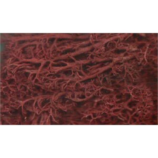Lichen Autumn Brown small pack