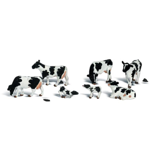 Cows, Black and white OO A1863