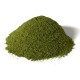 Base Layer Green G6421 Base Layer Green G6421