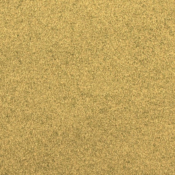 Dry Grass G6435
