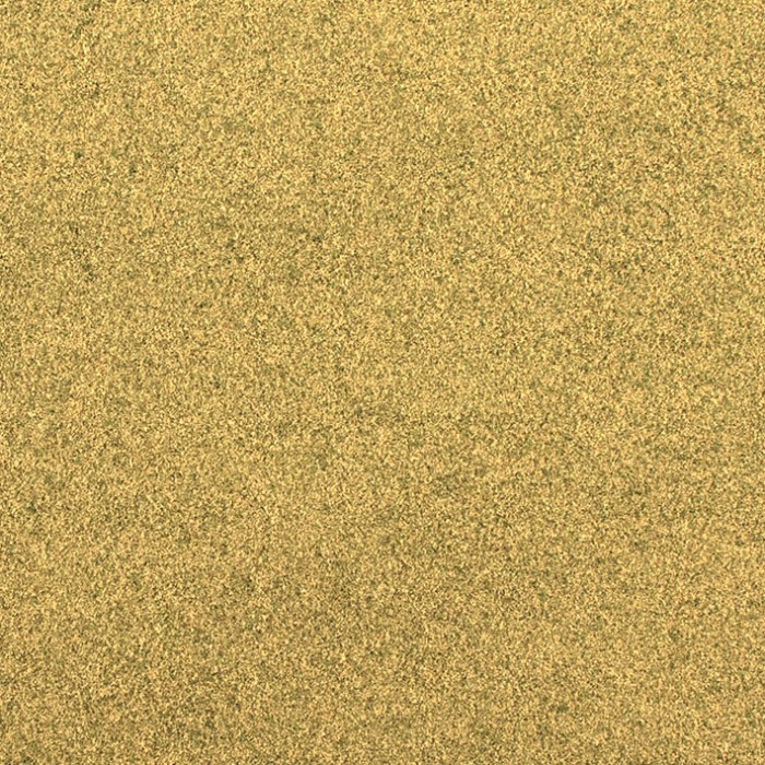 Dry Grass G6435