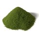 Spring Grass G6436 Spring Grass G6436