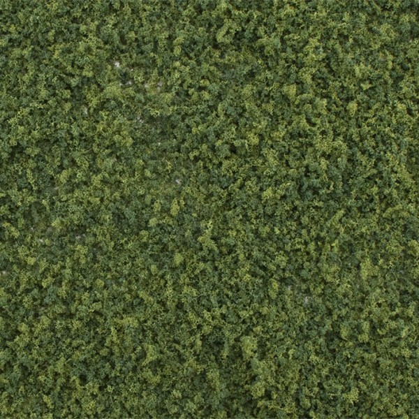 Summer Green Weeds G6450