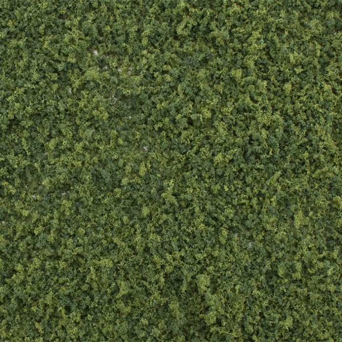 Summer Green Weeds G6450