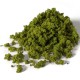 Light Green Foliage Clumps G6461 Light Green Foliage Clumps G6461