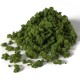 Medium Green Foliage Clumps G6462 Medium Green Foliage Clumps G6462