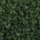 Dark Green Foliage Clumps G6463