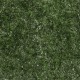 Super Foliage Dark Green G6494