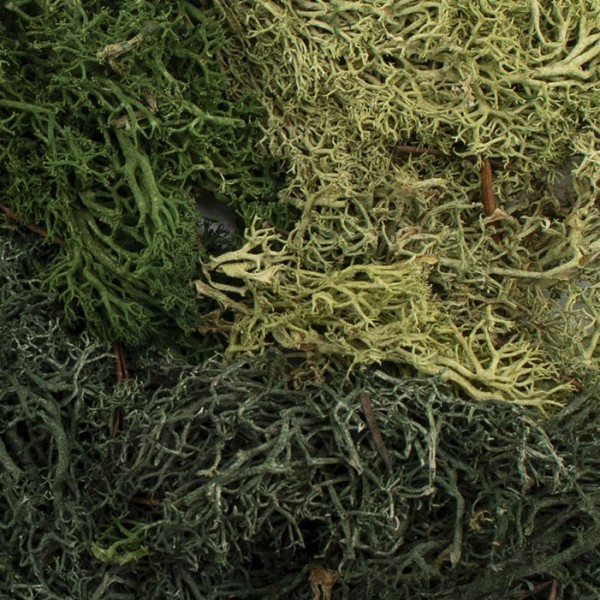 EZ Bushes Summer Mix G6501