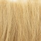 Tall Grass Gold G6507