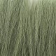 Tall Grass Green G6508
