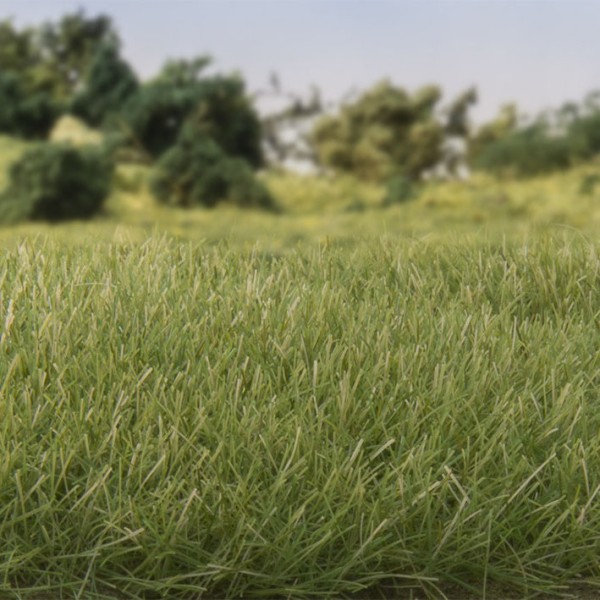 Static Grass  7 mm Medium Green G6584