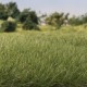 Static Grass 7 mm Medium Green G6584 Static Grass 7 mm Medium Green G6584