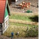 Cross and Picket Wooden Fencing N