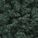 Woodland Scenics Bushes Dark Green Woodland Scenics Bushes Dark Green