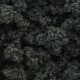 Woodland Scenics Bushes Forest Green Woodland Scenics Bushes Forest Green