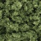 Woodland Scenics Bushes Light Green FC1645 FC145 Woodland Scenics Bushes Light Green FC1645 FC145