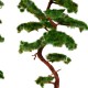 Pine Trees 150mm tall Pine Trees 150mm tall