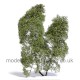 Shrub Bushes Delicate Spring Green Busch 3581 Shrub Bushes Delicate Spring Green Busch 3581