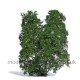 Shrub Bushes Delicate Summer Green Busch 3583 Shrub Bushes Delicate Summer Green Busch 3583