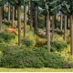 Flock Foliage Sheet Blueberries Busch 7348