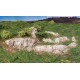 Ready Rocks Outcropping C1139 Ready Rocks Outcropping C1139