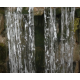 Water Effects from Woodland Scenics C1212 Water Effects from Woodland Scenics C1212