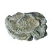Rock Mould Wind C1237 Rock Mould Wind C1237