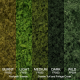 Coarse Turf and Foliage Cover Light Green By Footpath Scenes Coarse Turf and Foliage Cover Light Green By Footpath Scenes
