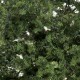 Fine Leaf Foliage Medium Green F1131