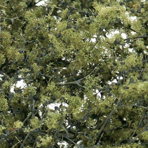 Fine-Leaf Foliage Olive Green F1133