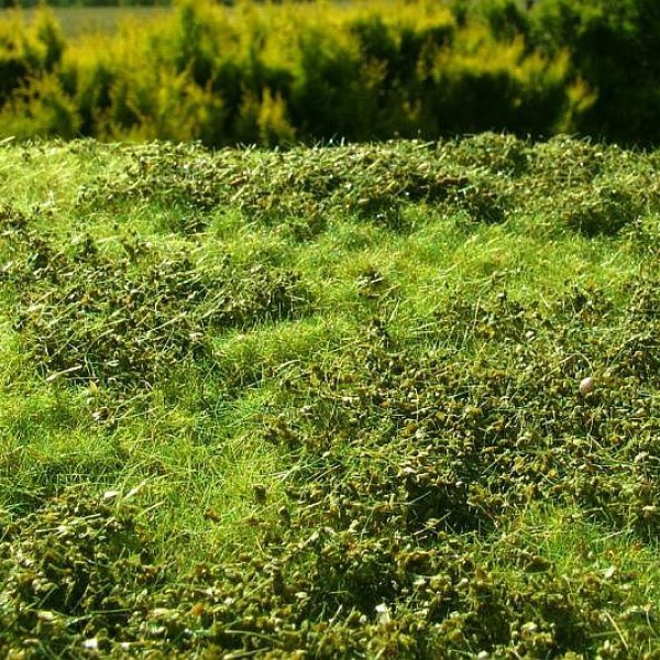 Static Grass & Turf Mats