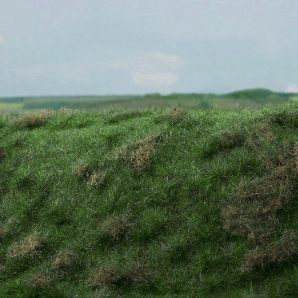 Landscape Mat Grass Fallow Field, Early Summer Model Scene F522