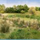 Field Grass Medium Green Woodland Scenics FG174