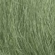 Field Grass Medium Green Woodland Scenics FG174