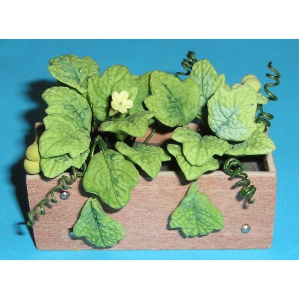 Pot Plant  1:12 scale