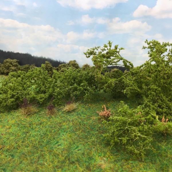 Weeds, Undergrowth, Bushes 