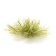 Light Green Grass Tufts FS770 Light Green Grass Tufts FS770