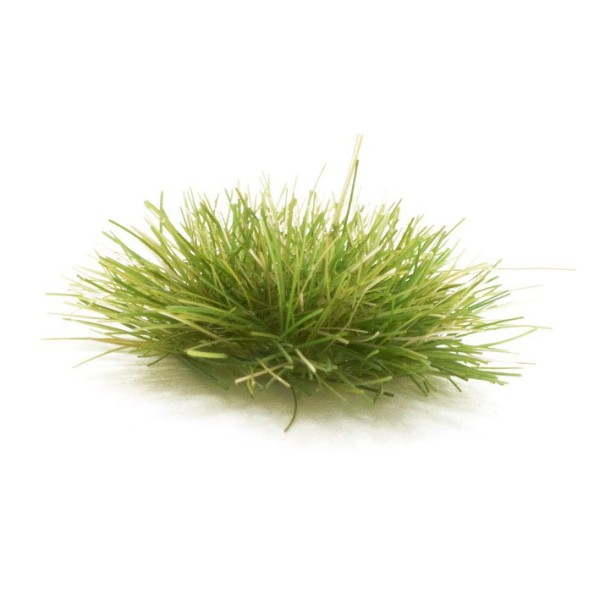 Medium Green Grass Tufts FS771