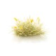 Yellow Seeding Tufts FS774 Yellow Seeding Tufts FS774