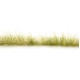 Light Green Edging Strips FS780 Light Green Edging Strips FS780