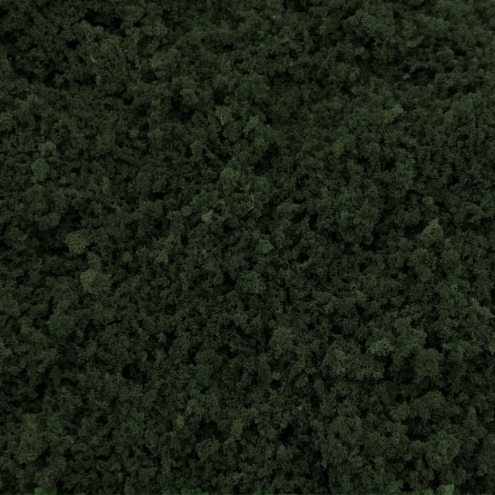 Coarse Turf and Foliage Cover Dark Green By Footpath Scenes Coarse Turf and Foliage Cover Dark Green By Footpath Scenes