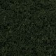 Coarse Turf and Foliage Cover Dark Green By Footpath Scenes Coarse Turf and Foliage Cover Dark Green By Footpath Scenes