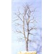 Wire Tree Armatures  Multi-Trunk 180mm tall