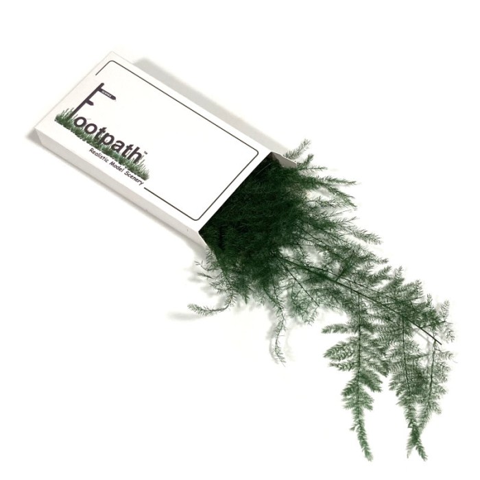 Fine Fern Bracken Foliage FP030 Fine Fern Bracken Foliage FP030