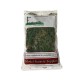 Fern Moss Real Scale Bracken Fern Fern Moss Real Scale Bracken Fern